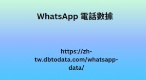 WhatsApp 電話數據