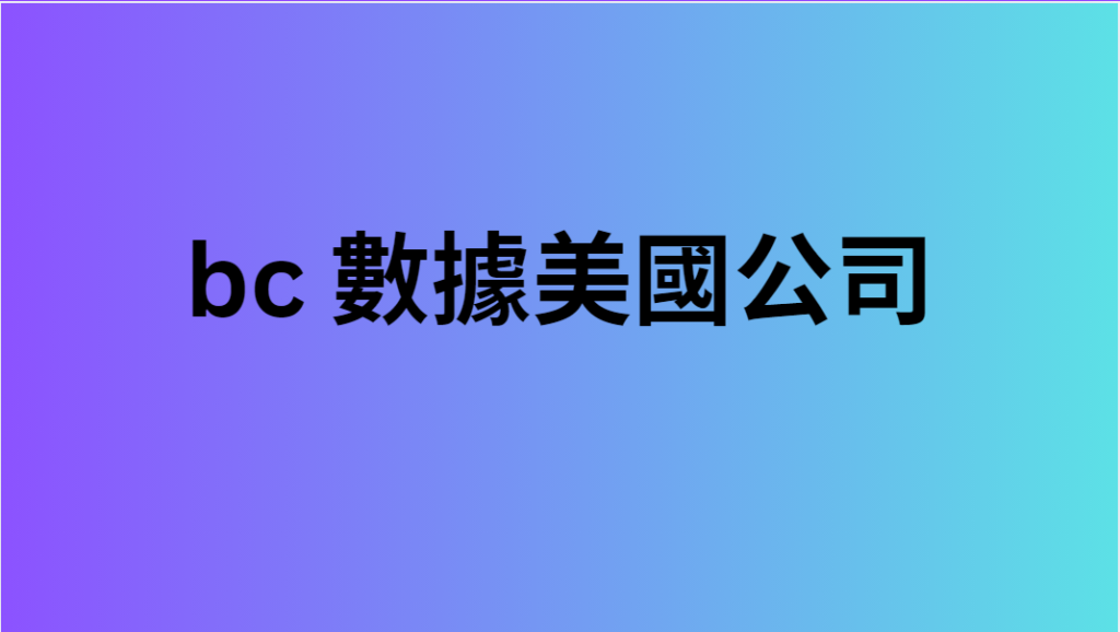 bc 數據美國公司 